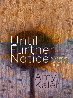 cover image of Until Further Notice